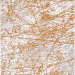 Kilimas Mad Men Stellar-9216 Astro Gold5